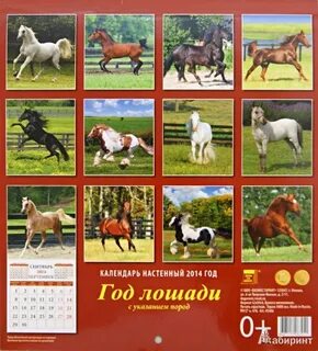 Когда год лошади в каком году будет