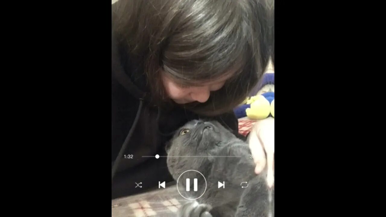 Там каравелла ганжа. Мияги там ганжа дари. Дари дари дей мияги. Там каравелла гянджа пела дари. Там каравелла ганжа пела дари.