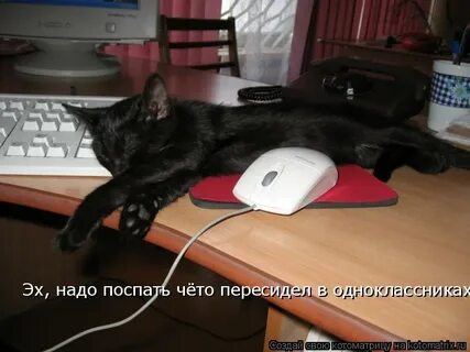 Эх надо