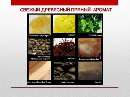 Древесно пряный