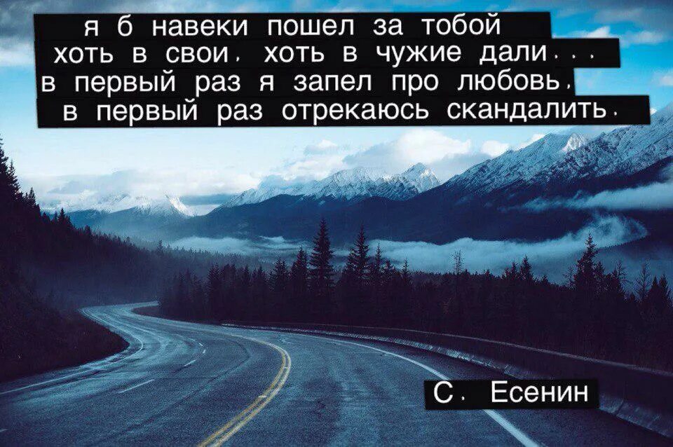 Я Б навеки пошел за тобой. Есенин я б навеки пошел за тобой. Хоть в свои хоть в чужие дали. Есенин заметался пожар голубой. Песня я б пошел за тобой