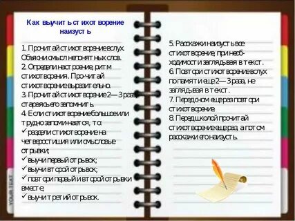 История за 5 мин