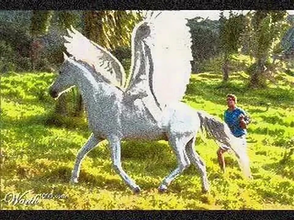 Настоящие пегасы. Лошадь с крыльями. настоящих лошадей с крыльями. пегас лошадь. настоящие единороги.