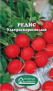 Редис сибири