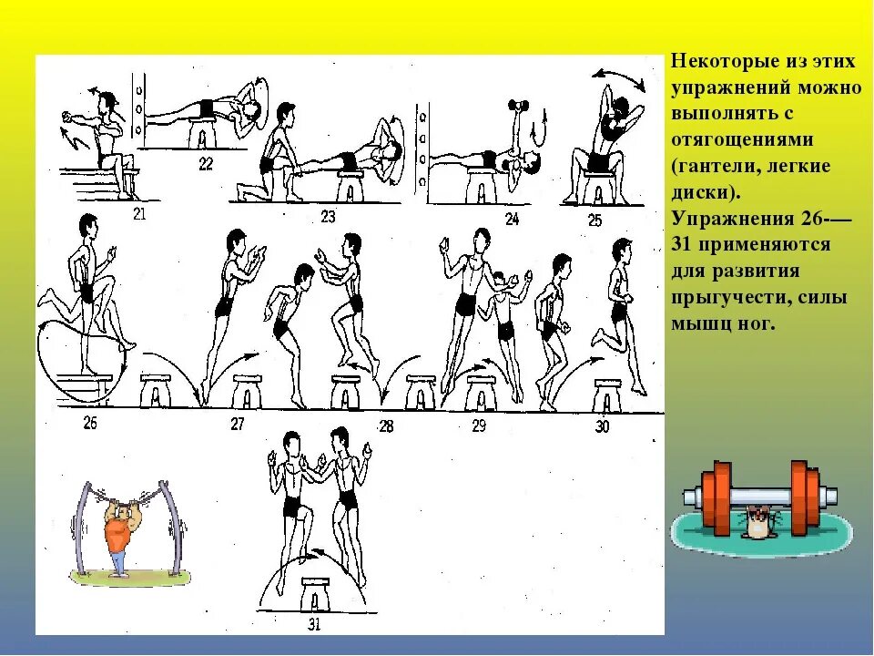 Комплекс силовых упражнений с гантелями с описанием. Упражнения для развития силы. Упражнения в парах. Упражнения на гимнастической скамье. 5 силовых упражнений