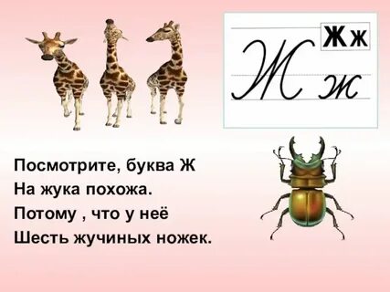 Кто как же ж