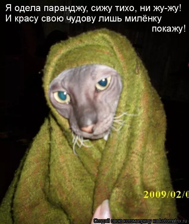 Помню я еще молодушкой была