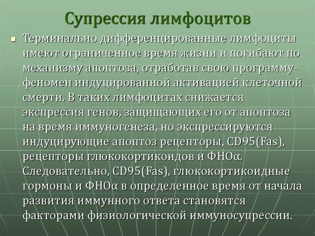 Супрессия иммунного ответа. Супрессия лимфоцитов это. Механизмы супрессии иммунного ответа Тип-идиотип. Терминально дифференцированные лимфоциты. Иммунная супрессия при хгн осуществляется назначением.