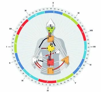 Кто я по дизайну человека тест