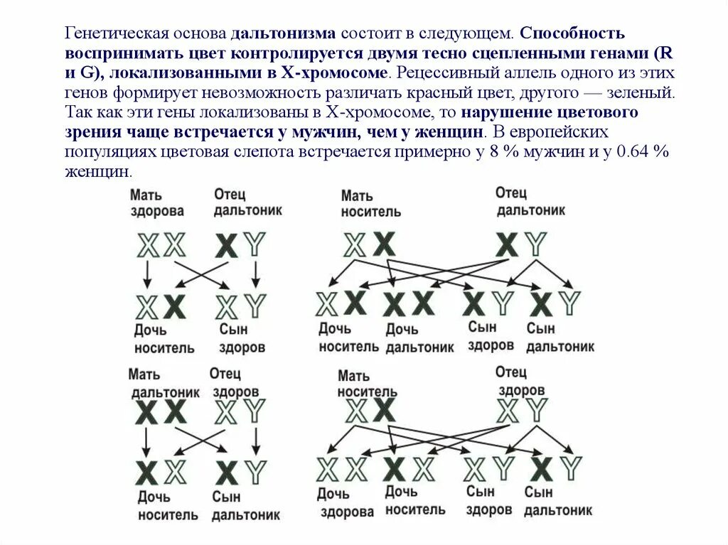 Девочка может страдать дальтонизмом если. Схема наследования дальтонизма. Схема передачи дальтонизма. Дальтонизм Тип наследования. Наследственные заболевания человека дальтонизм.