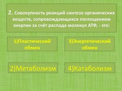 Совокупность реакций биологического синтеза