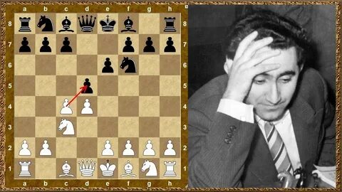 9 чемпион по шахматам