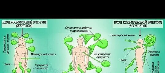 Привязка сущности. Энергетические паразиты. Сущности. Лярва энергетическая сущность. Избавление от сущностей. Лярвы энергетические паразиты.