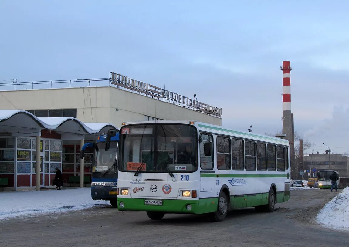 Автобусы петрозаводск телефон. Пазики частных перевозчиков. Маршрутки петрозаводск. Петрозаводский автобус. Автобусы петрозаводск телефон.