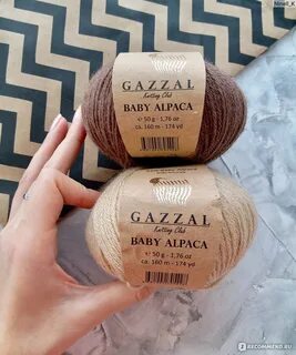 Gazzal alpaca