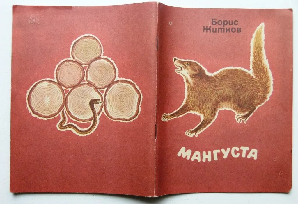 Книга Житкова мангуста. Читать эра мангуста 5