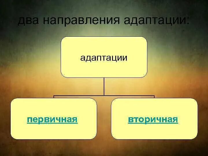 Другая сторона адаптация слушать. Направления адаптации персонала. Виды адаптации первичная и вторичная. Первичная и втоии чная адаптация. Первичная и вторичная адаптация персонала виды.