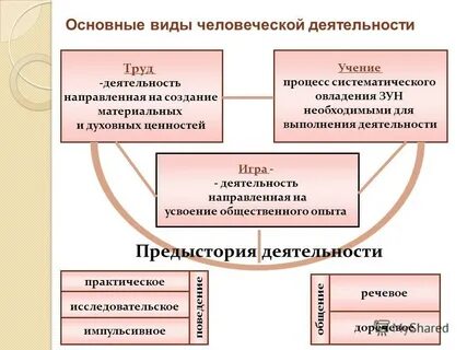 Деятельности направленная на усвоение общественного