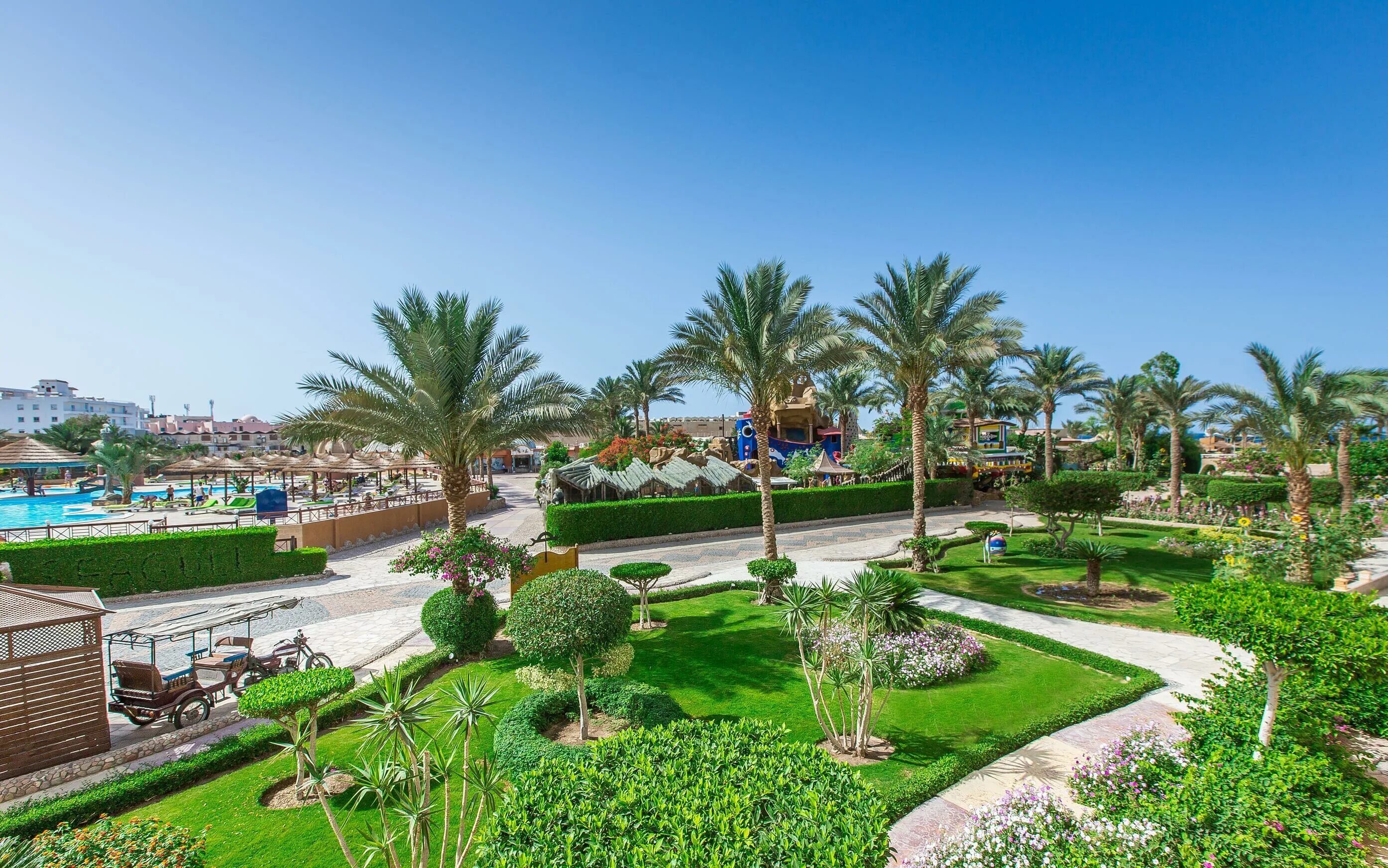 Hurghada seagull resort 4. Sea Gull Египет. Отель Сигал Бич Резорт Хургада. Sea Gull Beach Resort Club 4 Хургада. Seagull Египет Хургада.