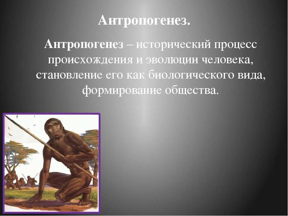Процесс эволюционного формирования человека называется. Антропогенез. эволюция человека. антропогенез человека. эволюция человека антропогенез.