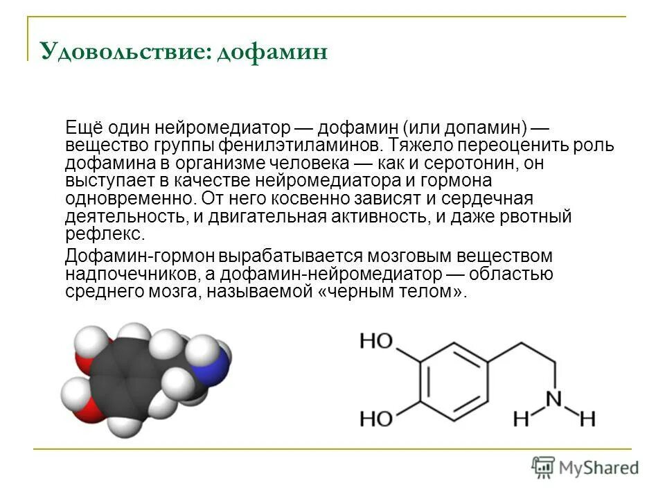 Дофамин медиатор функции. Дофамин нейромедиатор функции. Дофамин серотонин функции. Функции дофамина в организме человека. Серотонин стимулирует