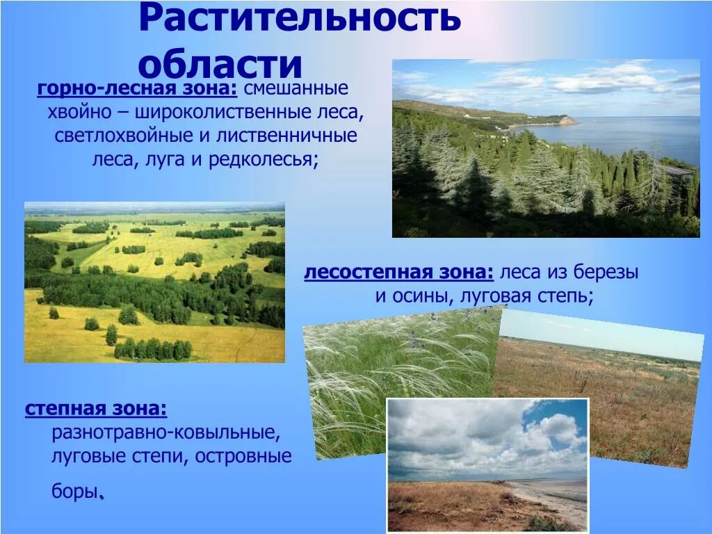 Природные зоны среднего урала. Растительный мир Челябинской области. Природные зоны Челябинской области. Растительность лесостепи и степи. Растительный и животный мир Челябинской области.