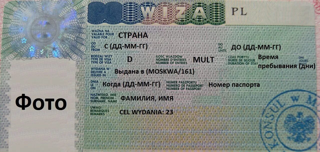 Польская виза д18. Виза д шенген. Рабочая шенгенская виза. Visa type