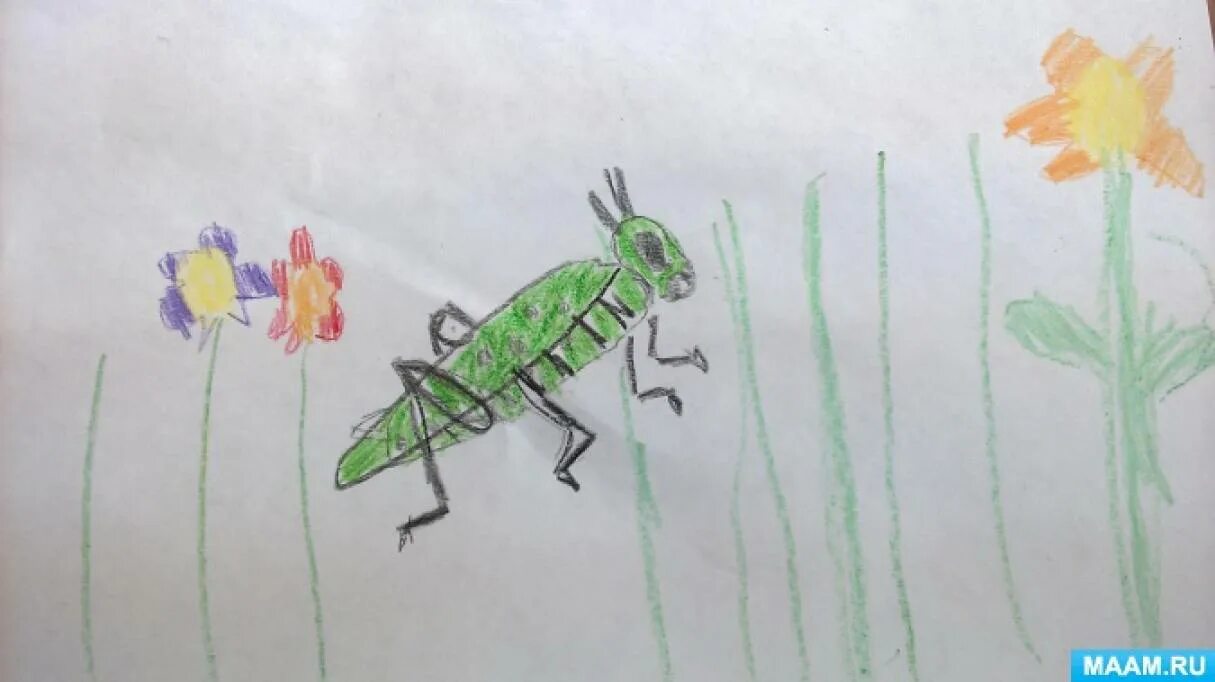 Рисование насекомые старшая. Рисование насекомых в детском саду. Рисование в старшей группе на тему насекомые. Рисование насекомые в подготовительной группе. Рисование мир насекомых в старшей группе.
