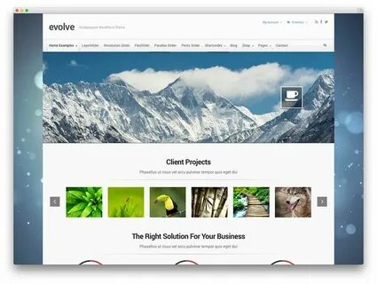 Загрузить wordpress