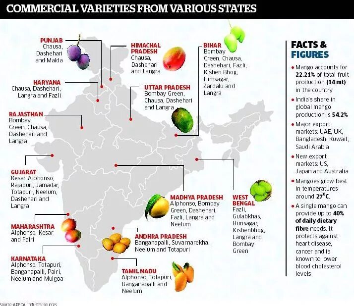 В каких странах растут фрукты. Где растет манго в каких странах карта. Где растет манго на карте. Манго где растет страны. Манго фрукт где растет в каких странах.