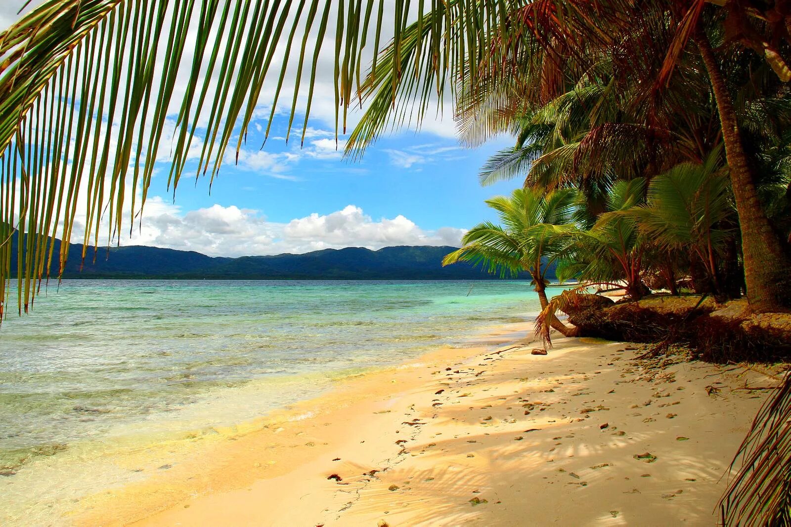 Парадиз остров Карибского моря. Панама пляж Шри-Ланка. Панама Карибское море. Пляж с пальмами. Покажи красивый пляж