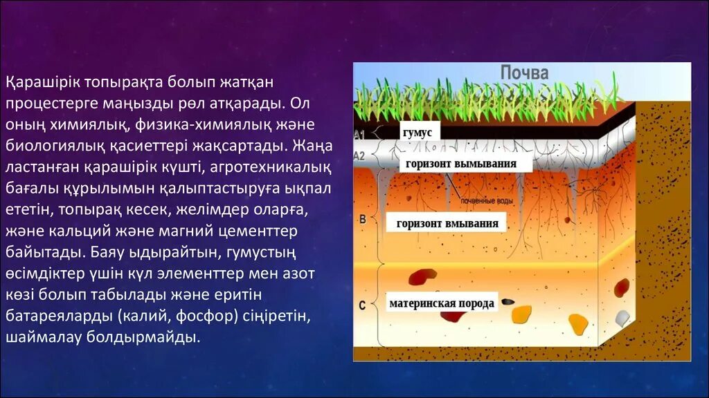 К материнской породе примыкает почвенный. Материнская порода почвы. Гумус почвы. Топырақ презентация. Материнская порода это Горизонт.