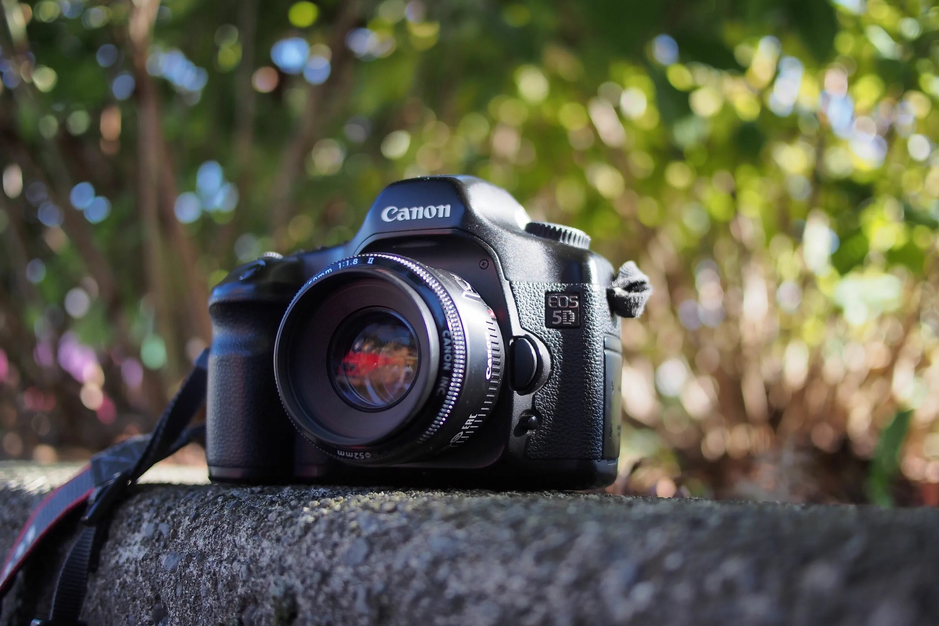 Камера канон МАКР 5 С объетивом. Кэнон фотоаппарат 2023. Canon DSLR. Canon DSLR Camera.