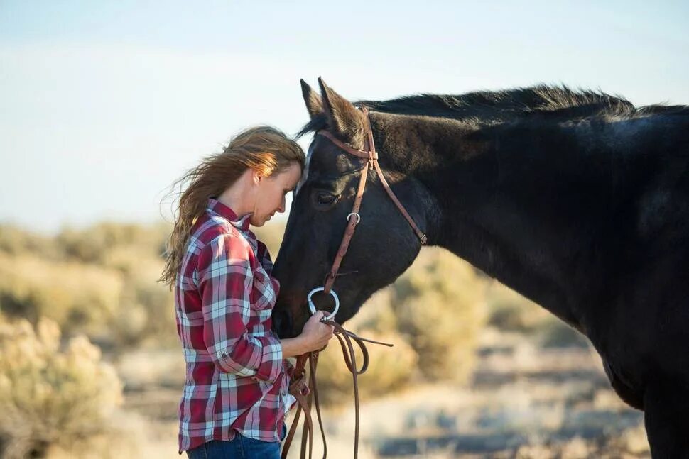 Взаимоотношения лошади и человека. Общение с лошадьми. Человек на лошади. Человек обнимает лошадь. Лошадь и человек фото.