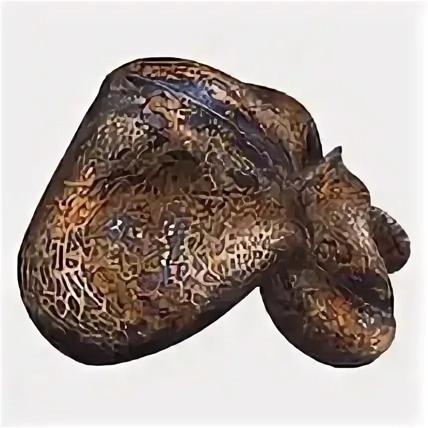 Сталкер артефакт выверт. Сталкер артефакт выверт. Артефакт выверт. Артефакт выверт зов припяти. Артефакт выверт зов припяти.