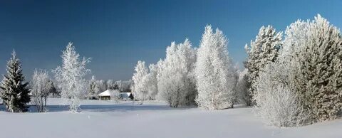 Более снежный