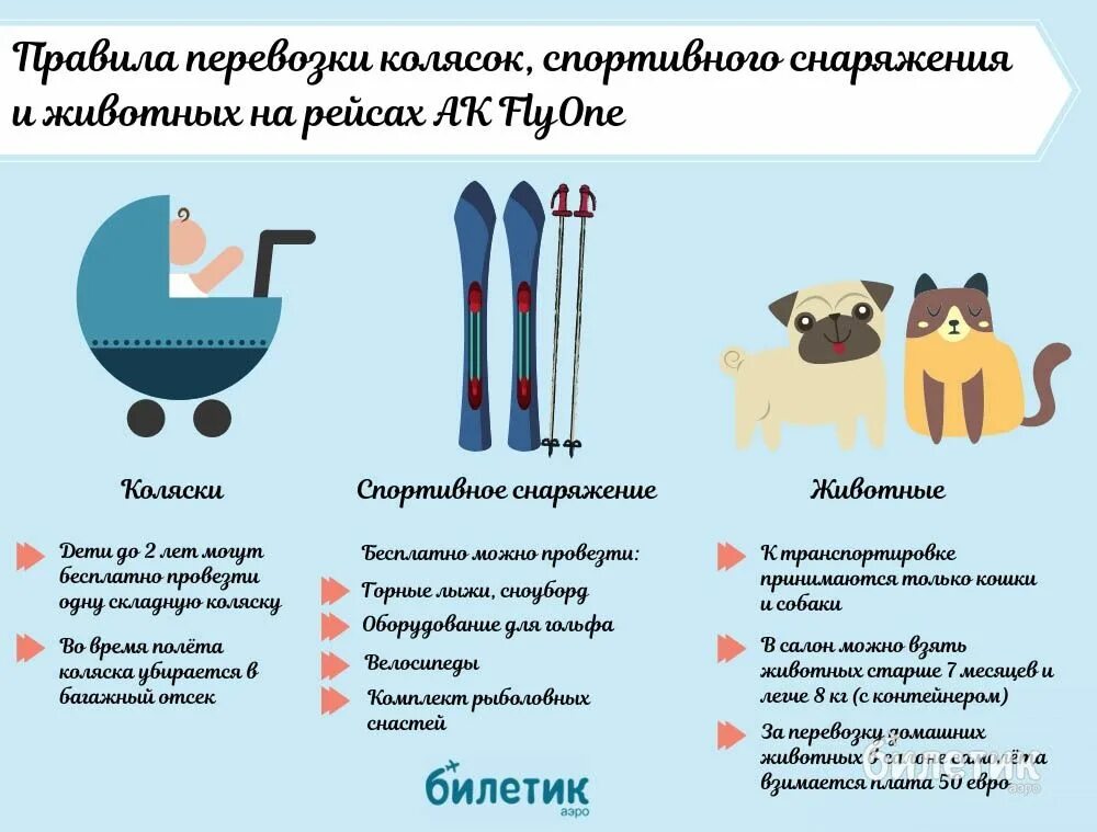 Сколько можно провозить в поезде. Нормы провоза лыжного оборудования. Габариты в метро провоза. Габариты лыж для перевоза в самолете. Правила перевозки багажа в метро.