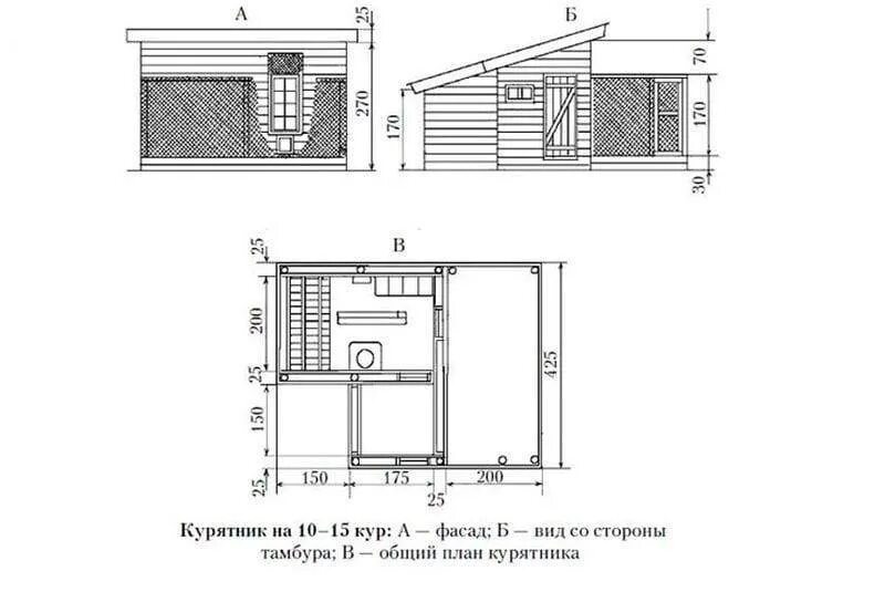 Размер курятника на 10 кур несушек. Планировка курятника на 50 кур. Площадь курятника на 20 кур несушек. Курятник для 2 кур несушек. Чертеж курятника на 20 кур с размерами.