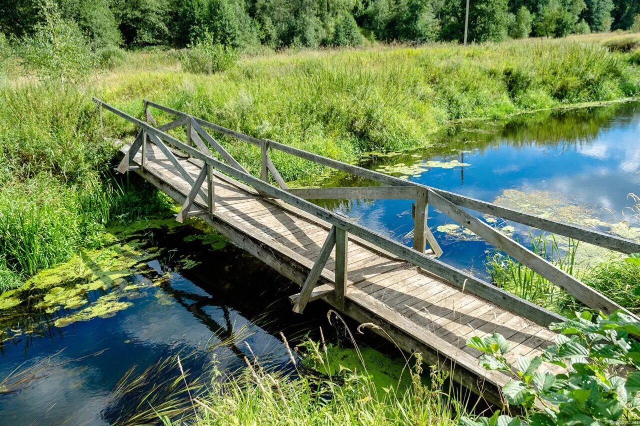 Мостки Иваново Авдотьино речка. Липин Бор мостик через речку. Мостки у реки в Иваново. Мост через речку старый Оскол.