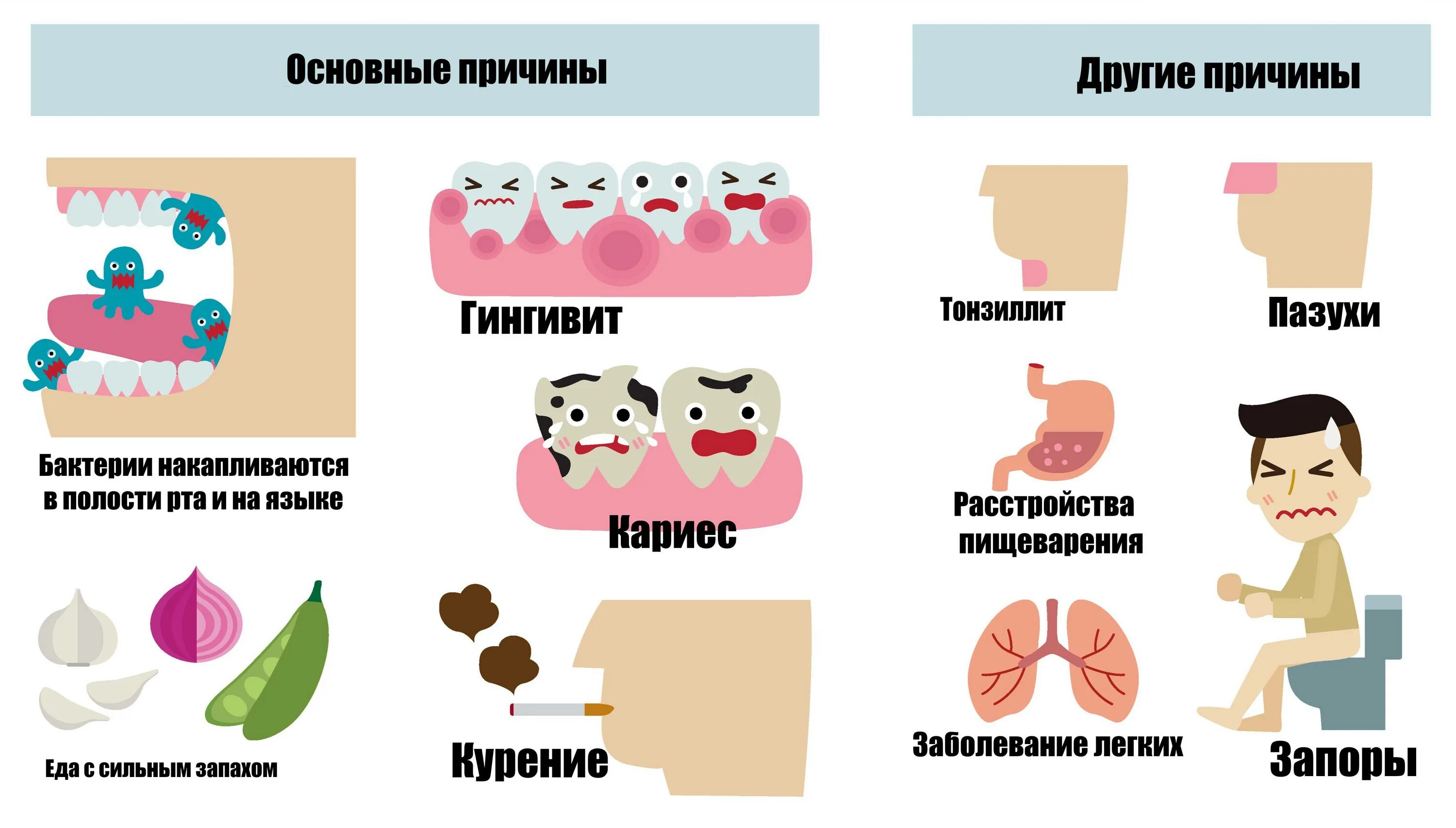 Плохо по утрам причины. Приятный запах изо рта. Неприятный запах изо рта причины. Запах изза РТВ причинф.