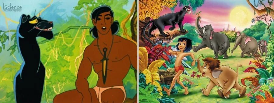 Маугли 1973 балу. Мультфильм маугли киплинга. Сказочные джунгли киплинга. Маугли мультфильм 1973. Маугли 1973 акелла.