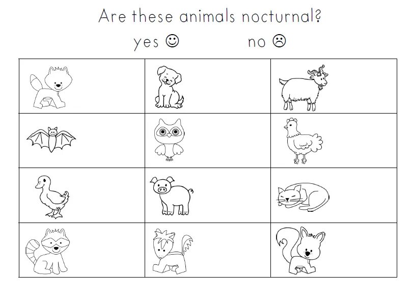 Do they like animals. Животные Worksheets for Kids. Wild animals Worksheets. Animals раскраска Worksheets for Kids. Wild animals Worksheets for Kids Kindergarten.