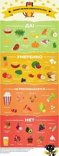 Какие фрукты можно давать щенку