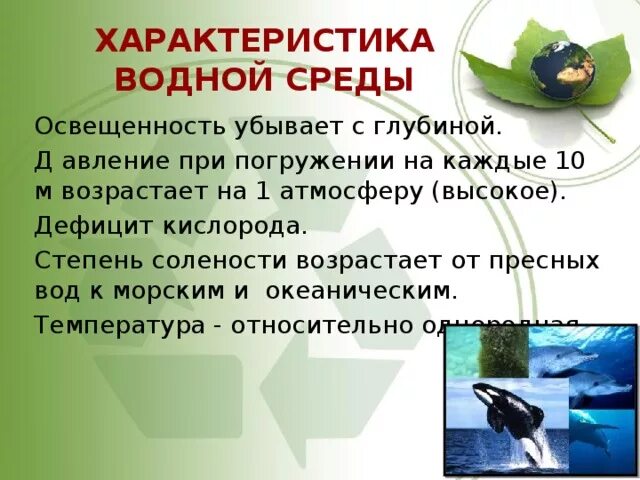 Экологические особенности воды. Освещенность водной среды. Хар-ка водной среды. Характеристика водной среды. Кислород в водной среде.