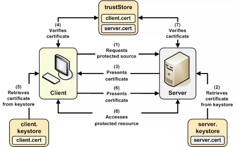 Client cert auth. SSL TLS. MTLS протокол. SSL схема. SSL TSL.