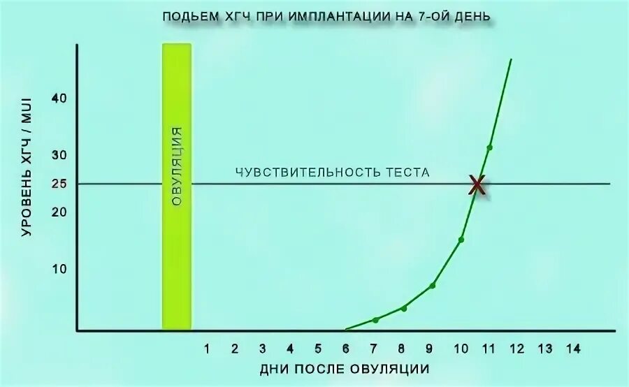 На какой день происходит имплантация после овуляции. Имплантация после овуляции. День имплантации эмбриона после овуляции. Статистика имплантации эмбриона по дням после овуляции. Имплантация эмбриона на какой день после овуляции.