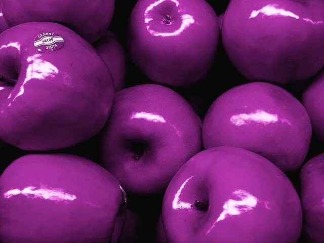 Фиолетовое яблоко. Фиолетовое яблоко. Фиолетовое яблоко. Иконка фиолетовое apple. Фиолетовое яблоко.