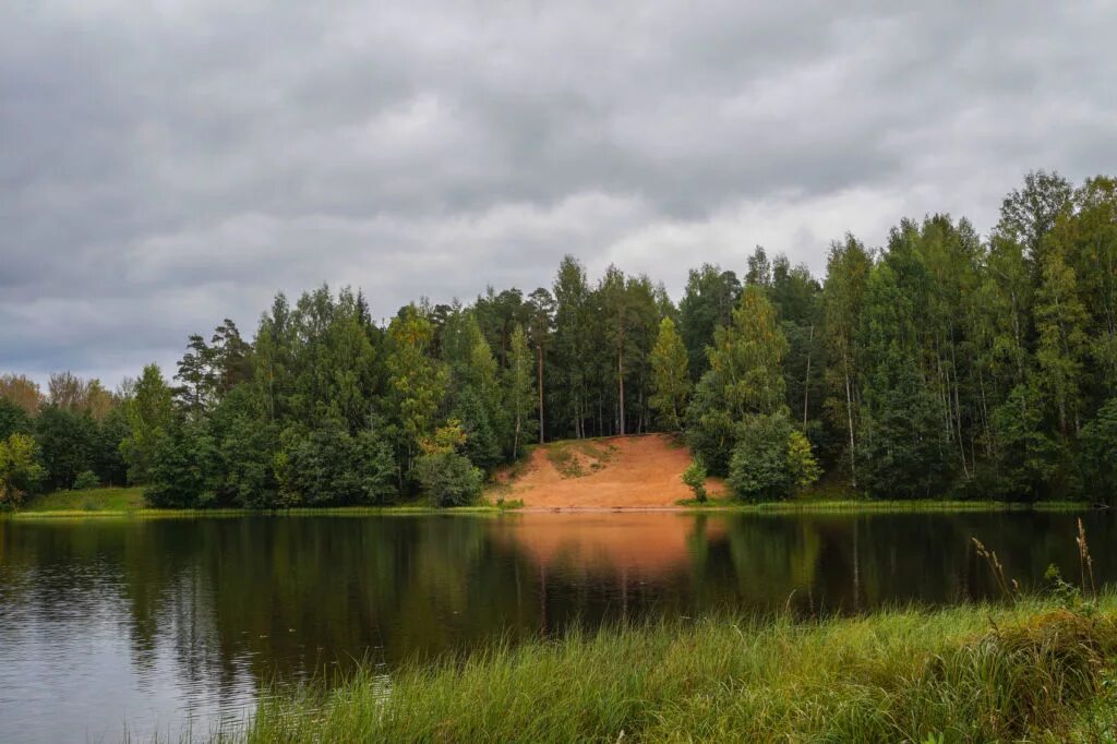 Фото примечания. Озеро красное Кучинский лесопарк. Озёрный лесопарк Балашиха. Кучинский лесопарк Балашиха. Ольгинский лесопарк Балашиха.