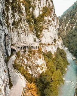 Старая красная поляна