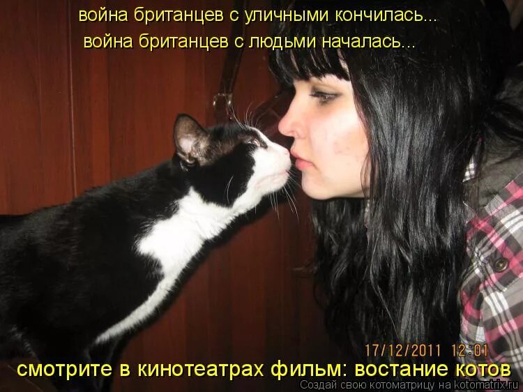 Люди которые любят нюхать. Кошка нюхает. Кошка обнюхивает. Котенок нюхает. Занюханный кот.